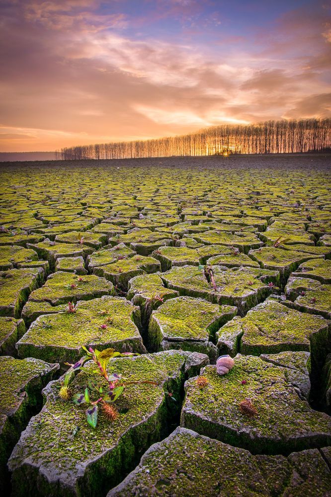 Landscape Photography by Maya V