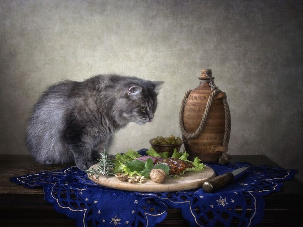 - Столько вкуснятины, глаза разбегаются!