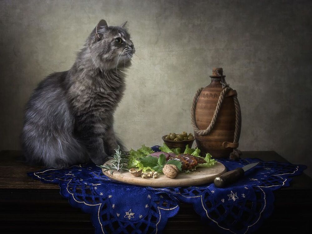 - А я что, я просто мимо проходила!