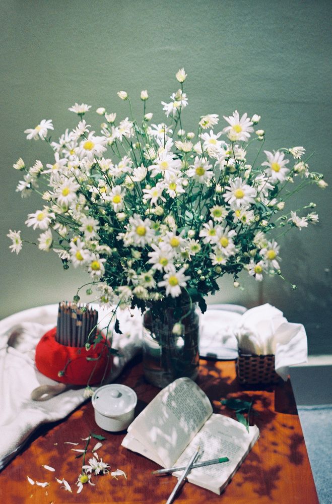 Hoạ Mi