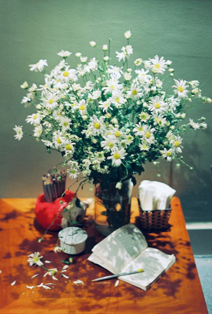 Hoạ Mi