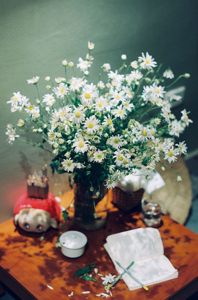 Hoạ Mi