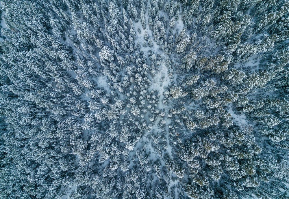 Зима близко