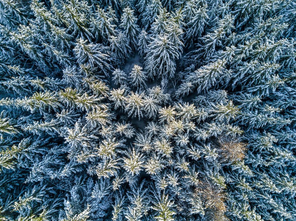 Зима близко