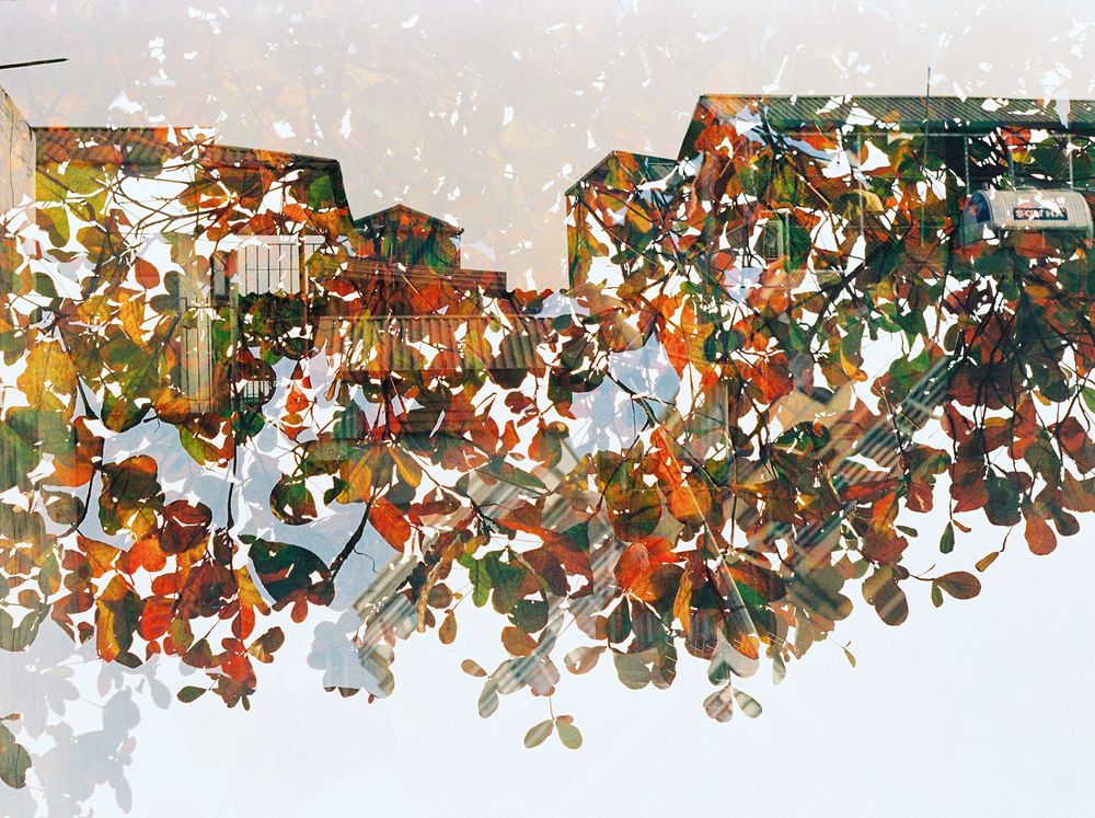 The Winter of Hanoi