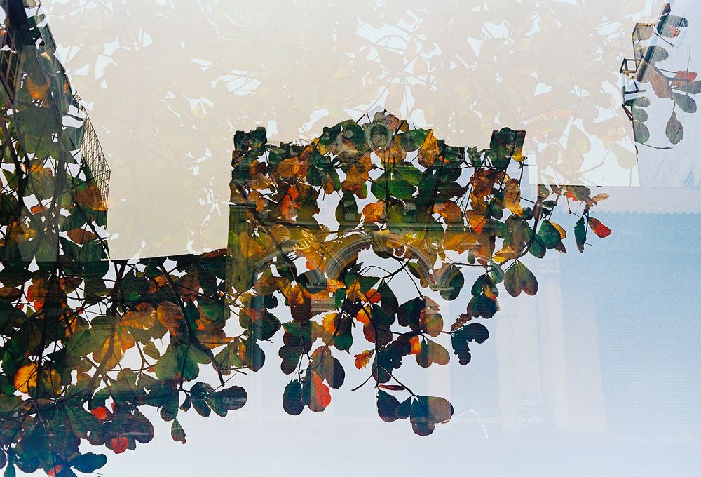 The Winter of Hanoi