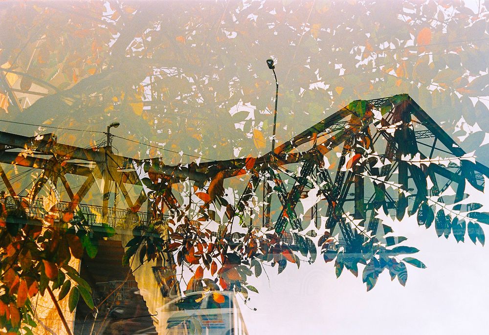 The Winter of Hanoi