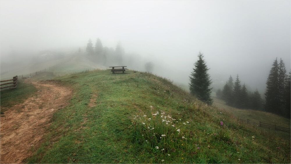 Там, за туманами