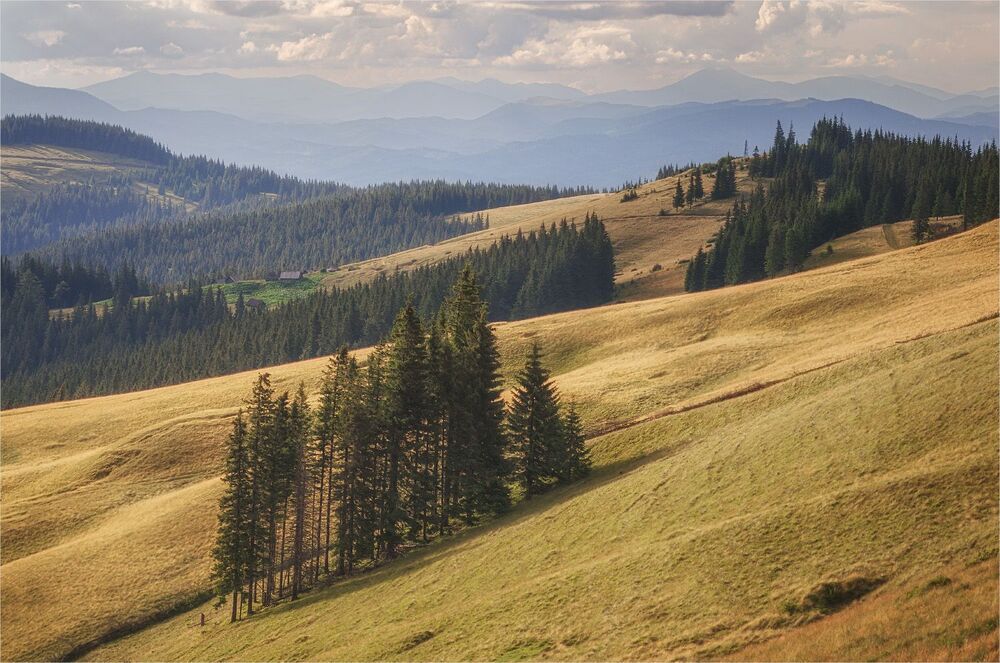 Там, за туманами