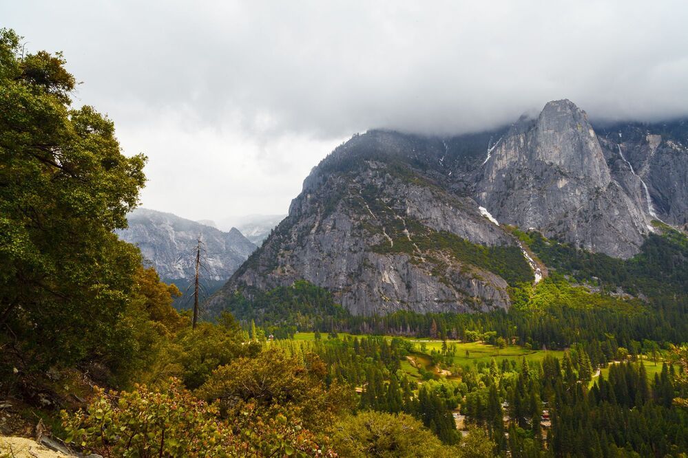 USA 2011 - Yosemite