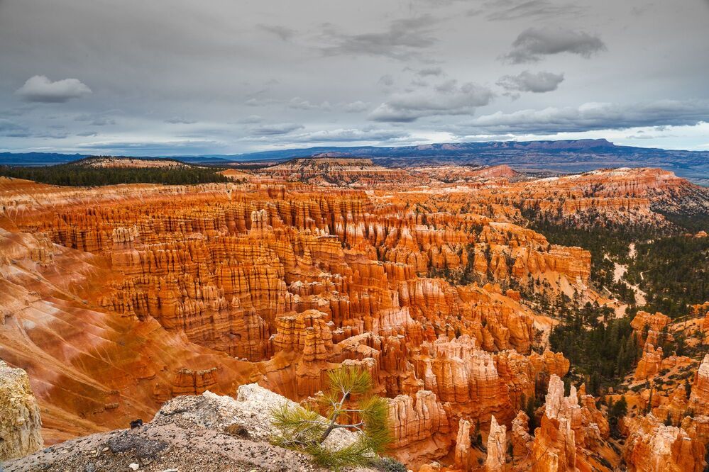 USA 2011 - Hawaii, Utah