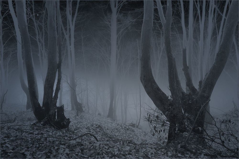 Mystic 5