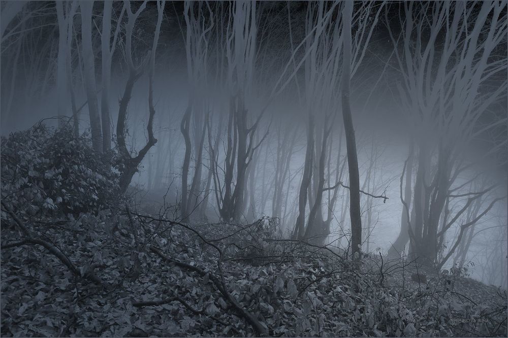 Mystic 5