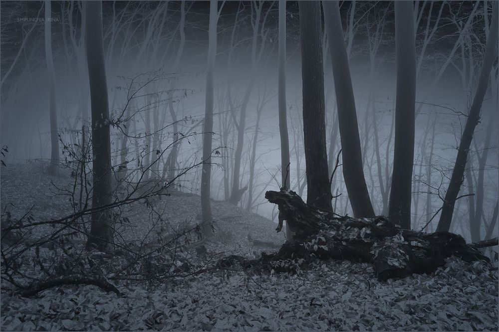 Mystic 5