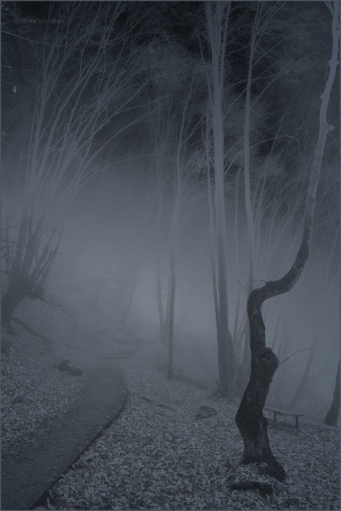 Mystic 5