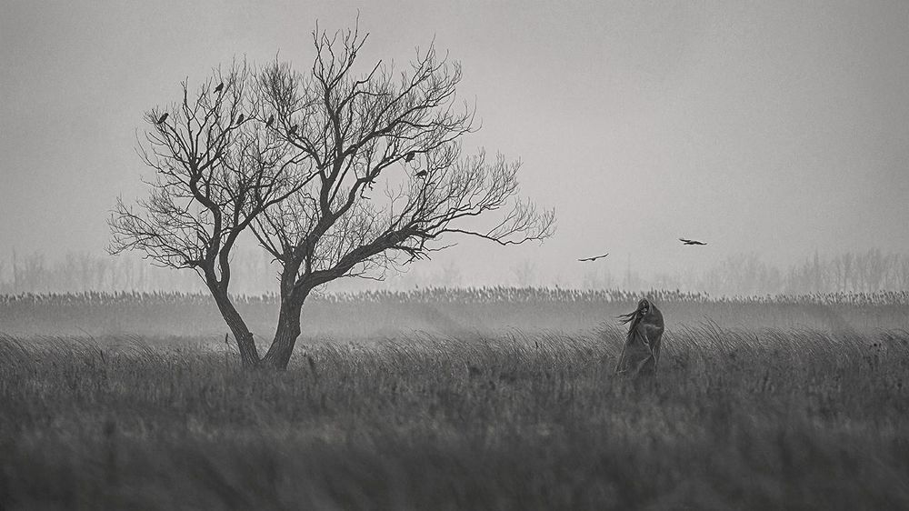 Photo 1198034