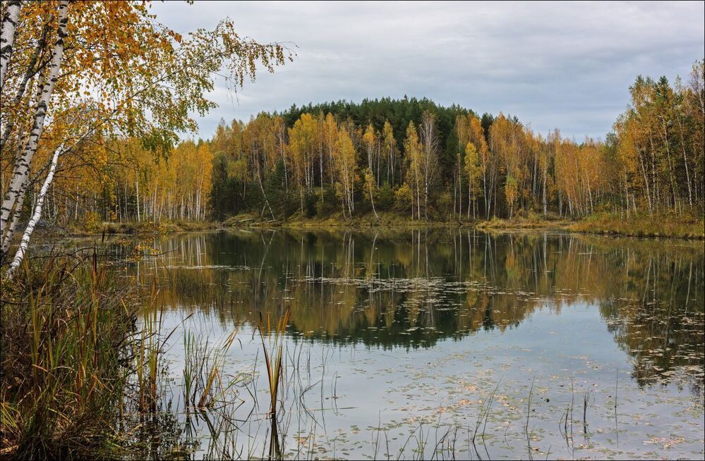 Тишина