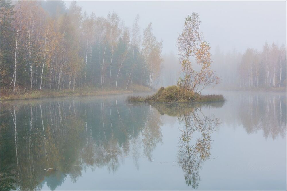 Туманное утро