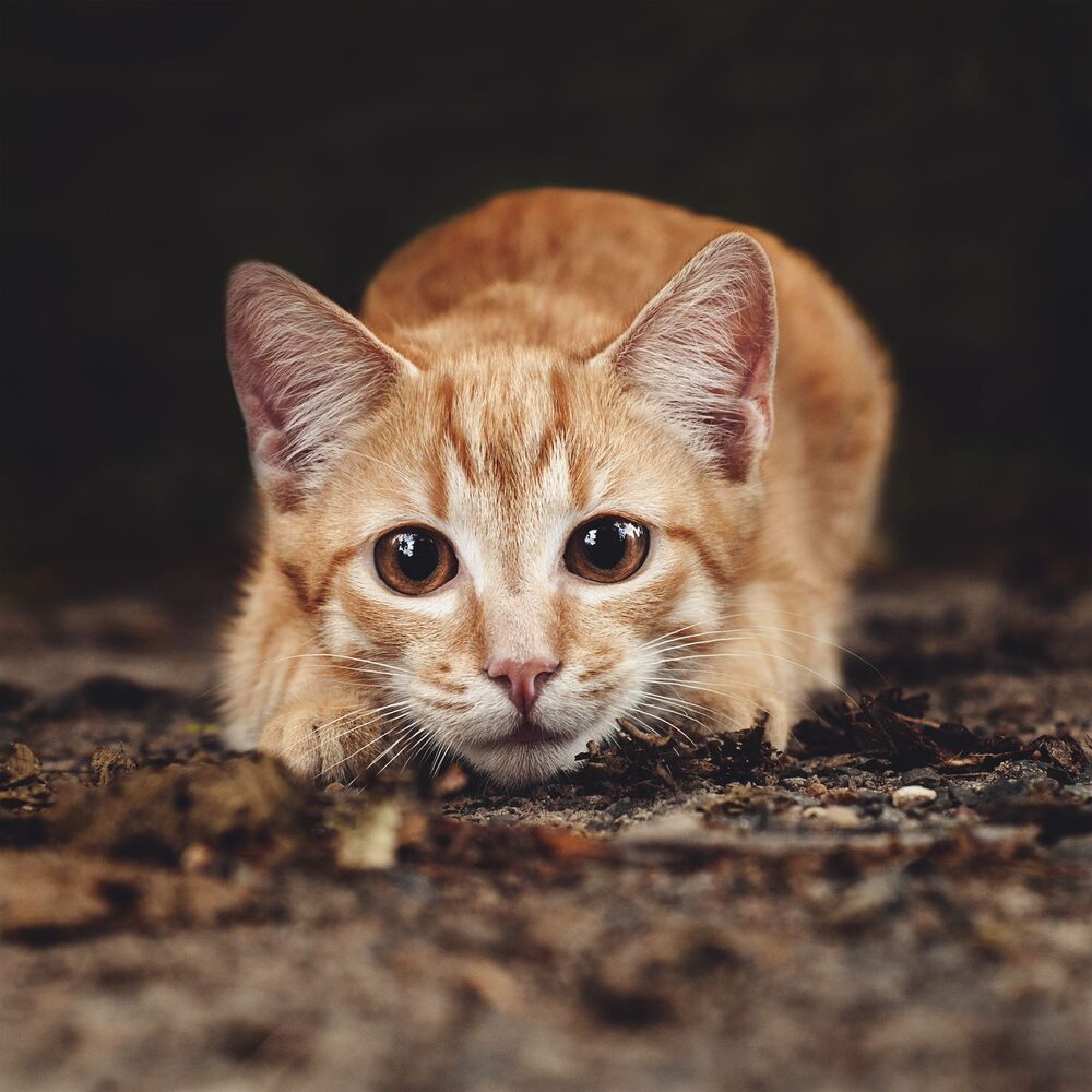 :)