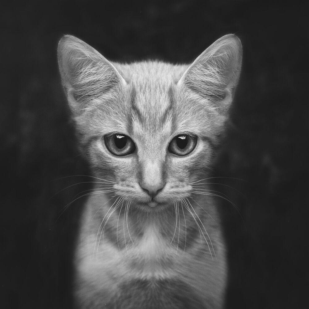 :)