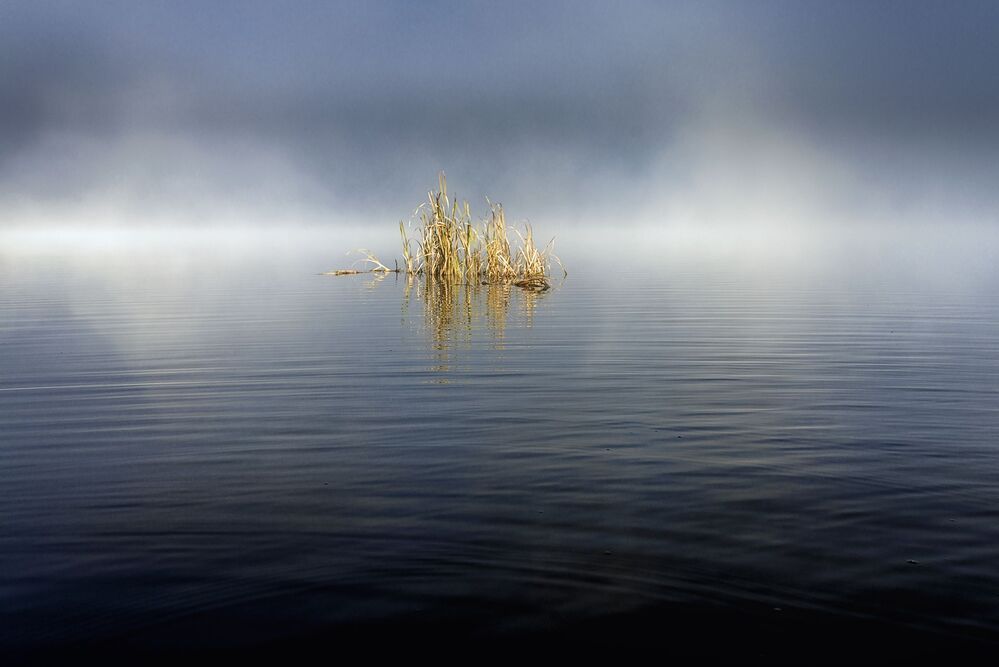 Утро в Крутихе.