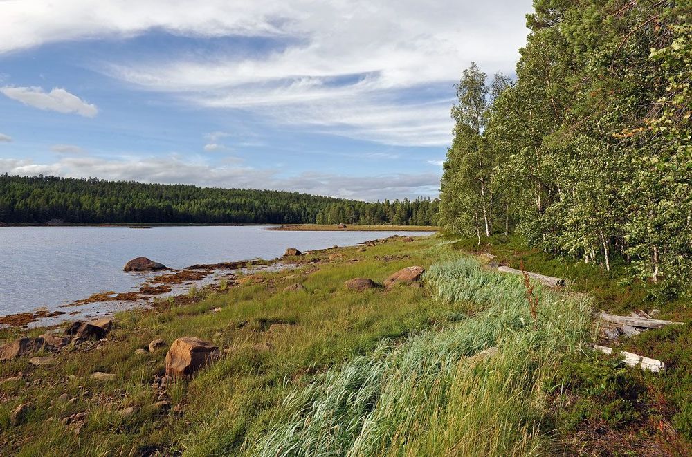 Прогулки по острову в Белом море...