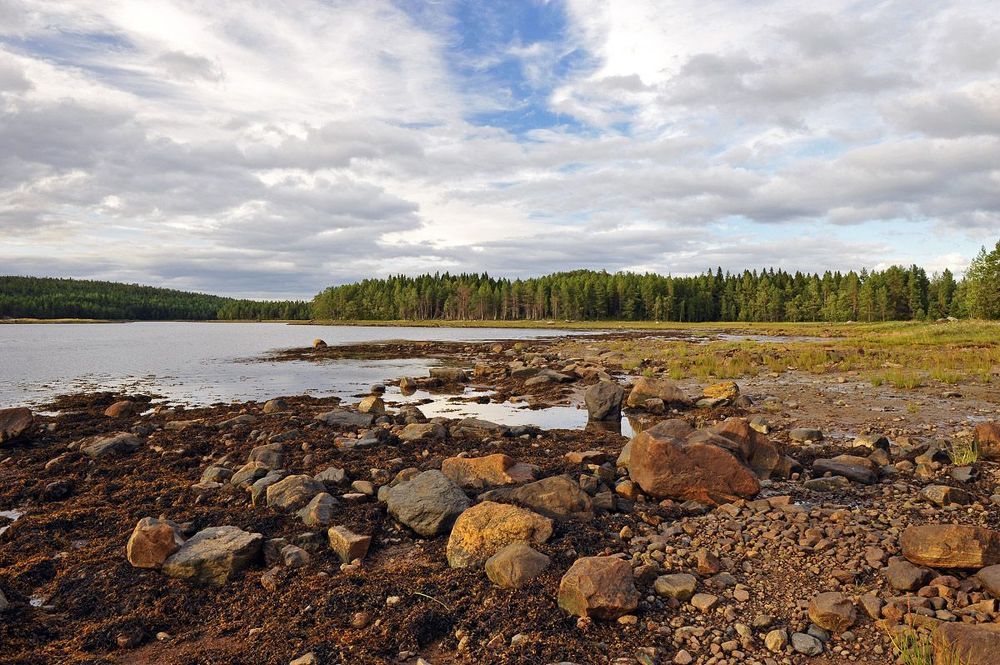 Прогулки по острову в Белом море...