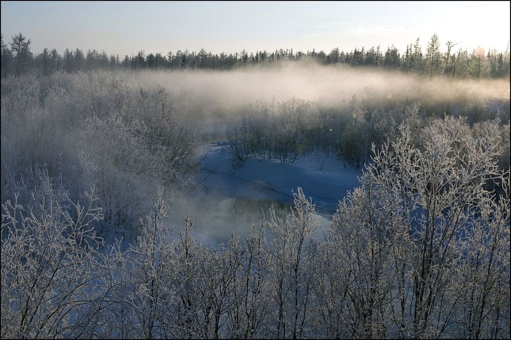 Зимняя прогулка