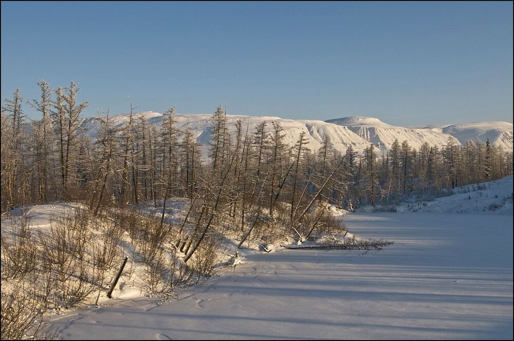 Зимняя прогулка