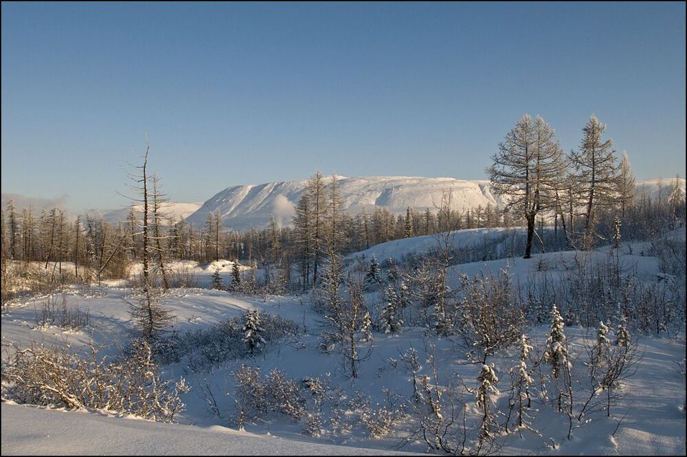 Зимняя прогулка