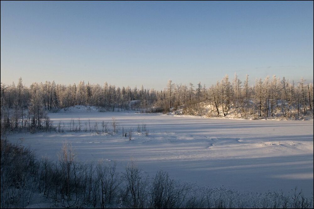 Зимняя прогулка