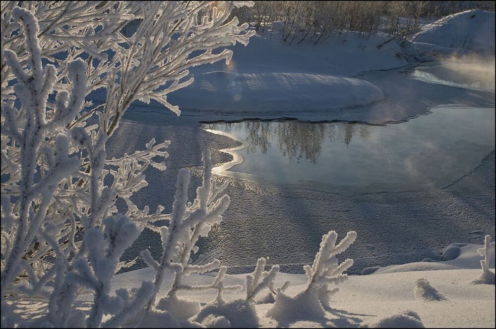 Зимняя прогулка