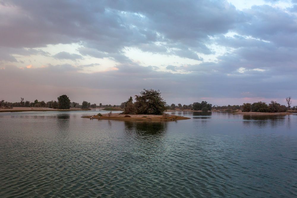 Озёра Al Qudra