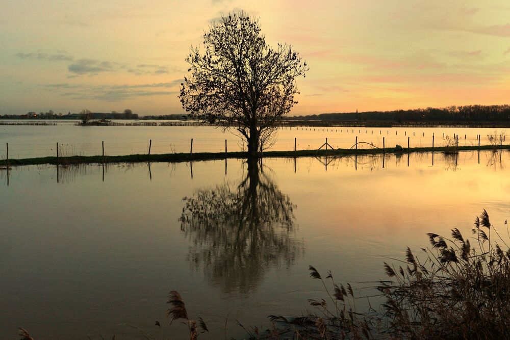 Flooding.