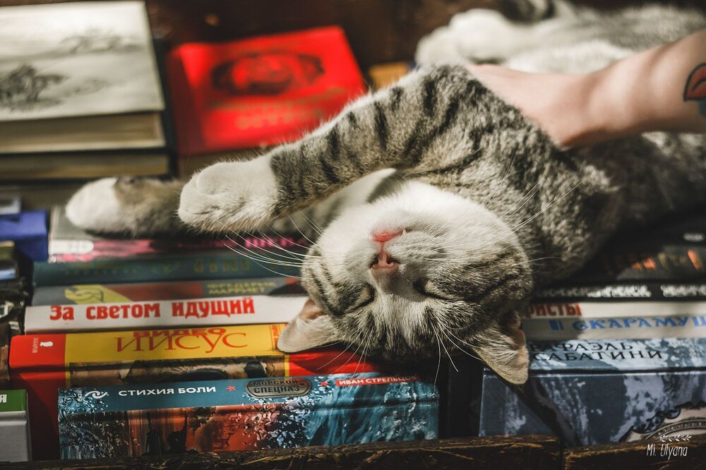 Книжный развал в Ростове-на-Дону, весна 2017 г.