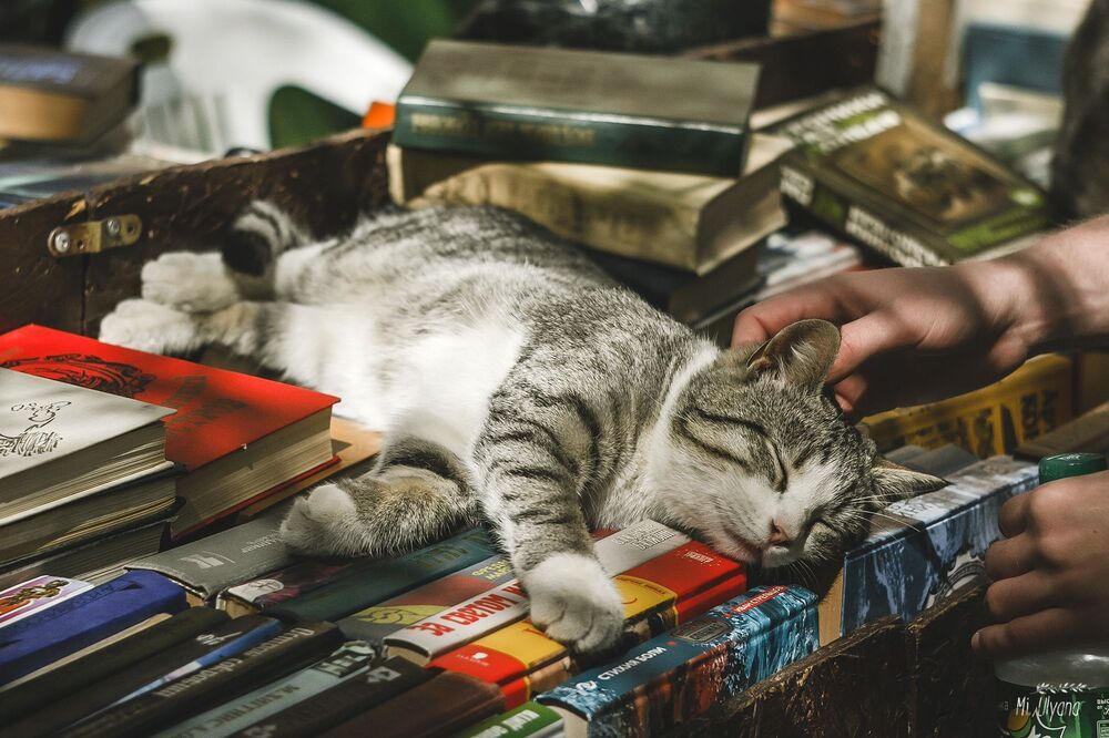 Книжный развал в Ростове-на-Дону, весна 2017 г.