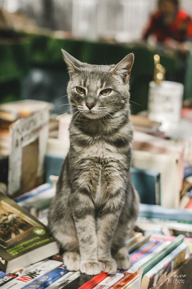 Книжный развал в Ростове-на-Дону, весна 2017 г.
