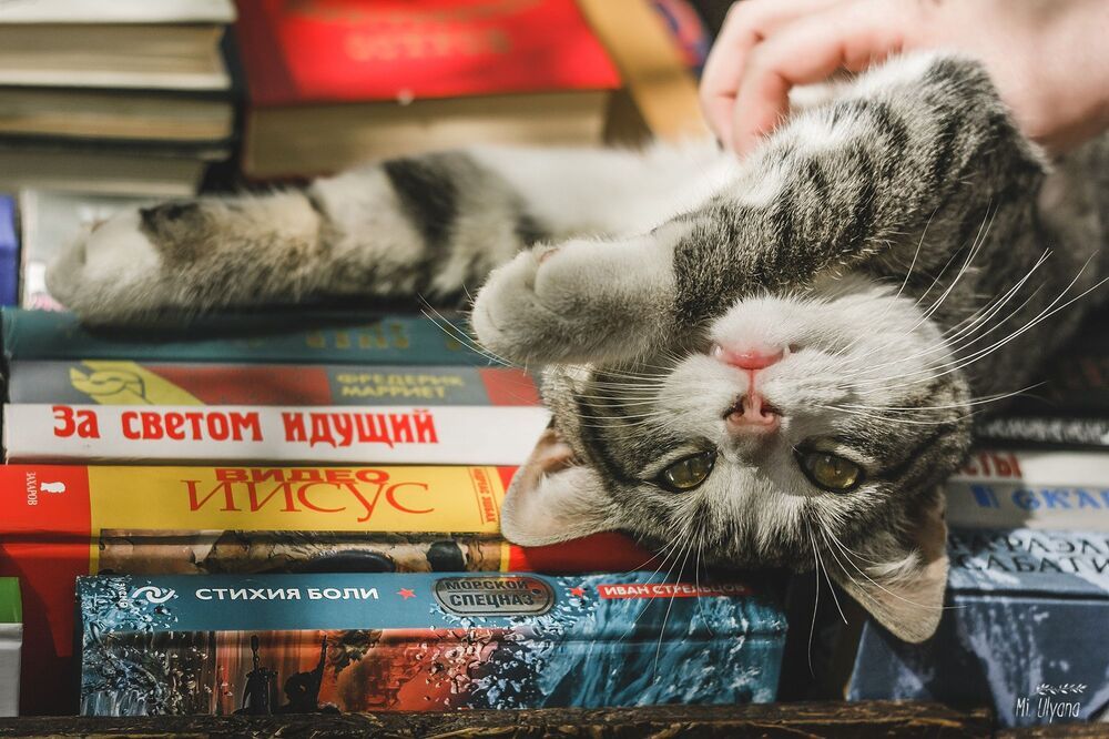 Книжный развал в Ростове-на-Дону, весна 2017 г.