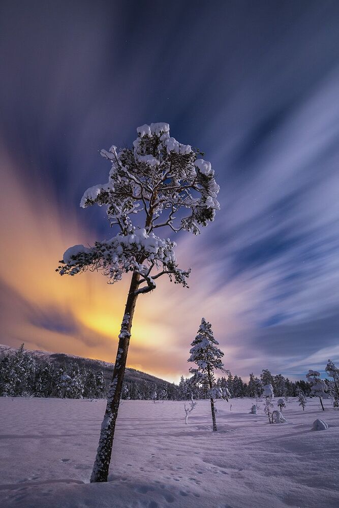 Norwegian landscapes