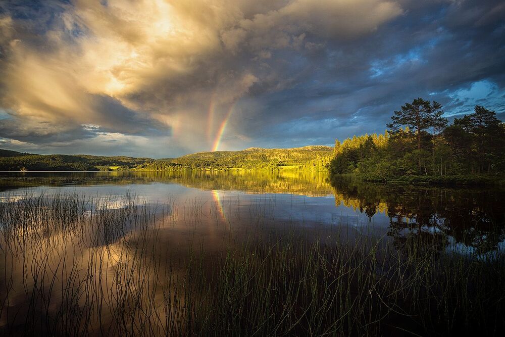 Norwegian landscapes