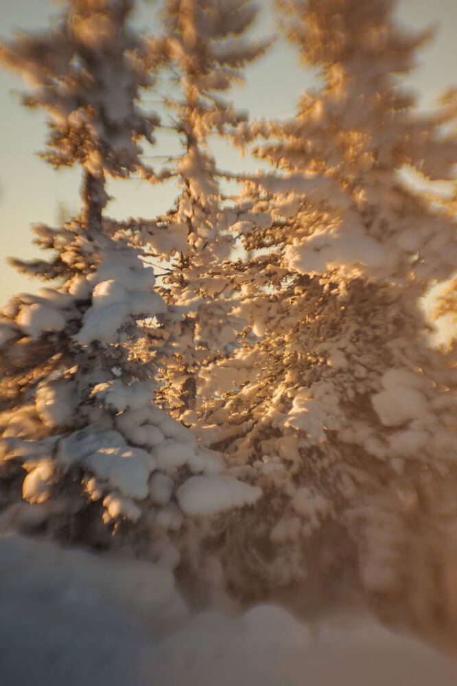 Зимний рисунок "Циклопа-85, f1.5"