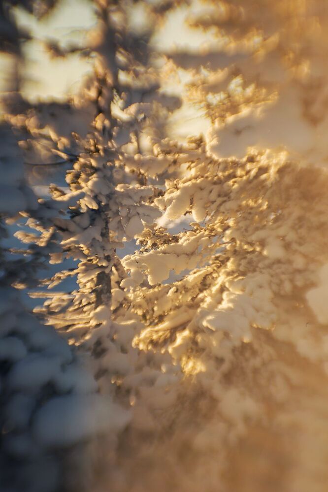 Зимний рисунок "Циклопа-85, f1.5"