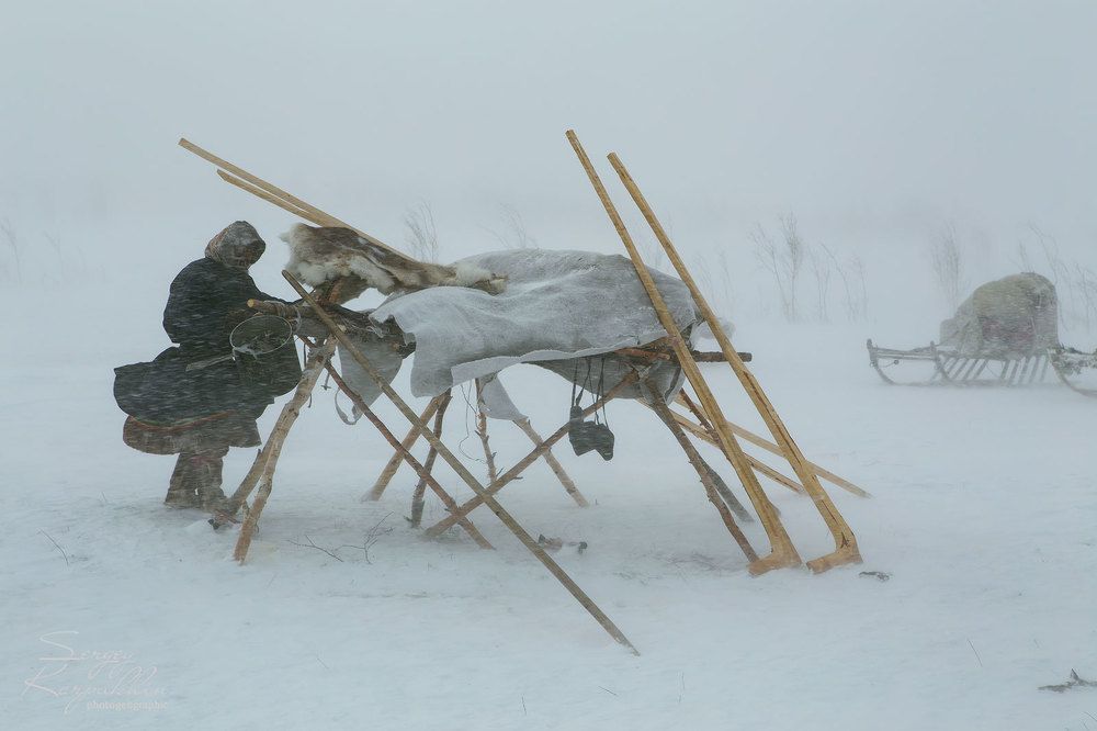 Пурга