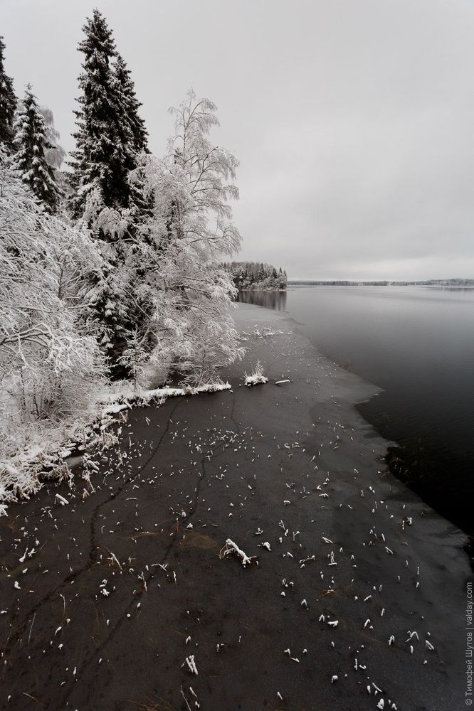 Чёрные воды