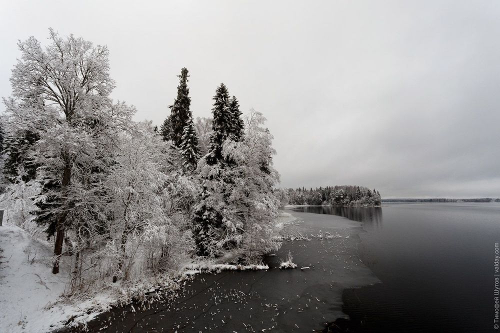Чёрные воды