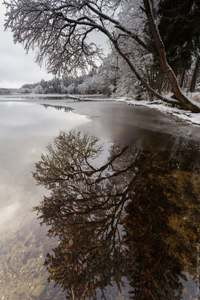 Замерзающий берег. Такая&hellip; слегка сводящая ноги прогулка