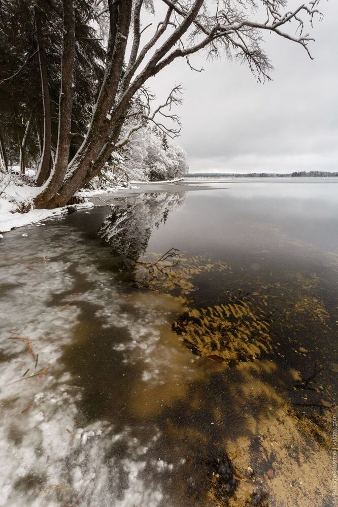 Замерзающий берег. Такая&hellip; слегка сводящая ноги прогулка