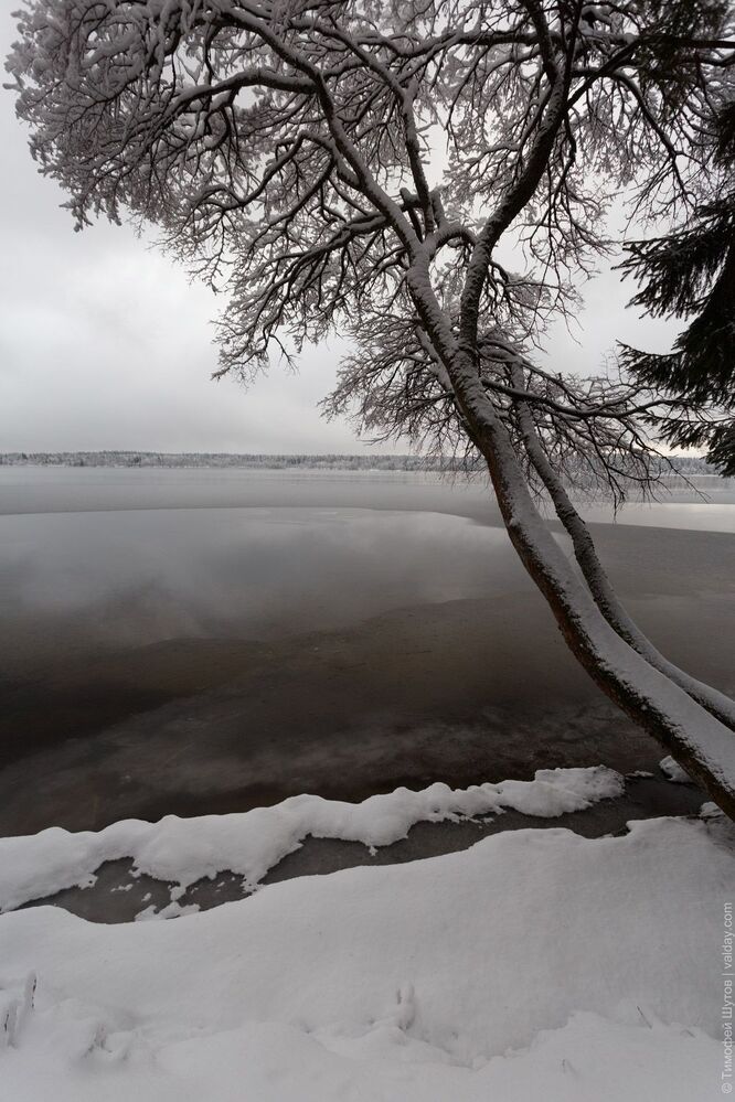 Замерзающий берег. Такая&hellip; слегка сводящая ноги прогулка