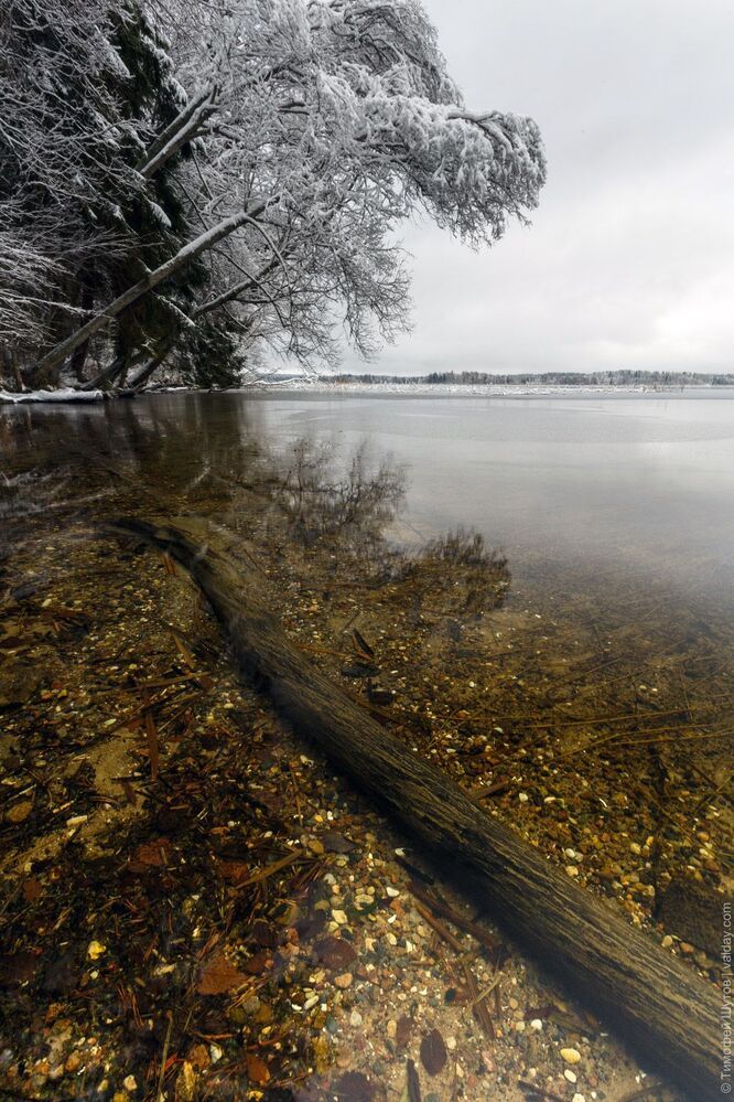 Замерзающий берег. Такая&hellip; слегка сводящая ноги прогулка