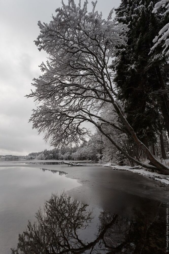 Замерзающий берег. Такая&hellip; слегка сводящая ноги прогулка
